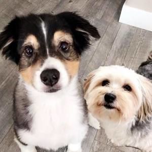 Meet your Posher, Sabrina